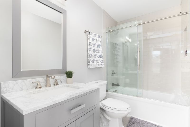 Bathroom Conversion Service in Bradenton, FL